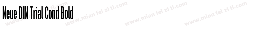 Neue DIN Trial Cond Bold字体转换